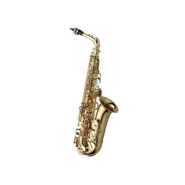 Yanagisawa / ヤナギサワ アルトサックス A-WO1 (アルトサックス小物 