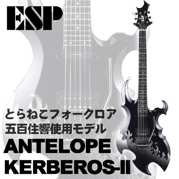 新生活応援セール ポイントアップ Esp Antelope Kerberos Ii とらねこフォークロア アンテロープケルベロス 受注生産品 送料無料 Esp Antlpkrbrs Ii Guitar Museum 通販 Yahoo ショッピング