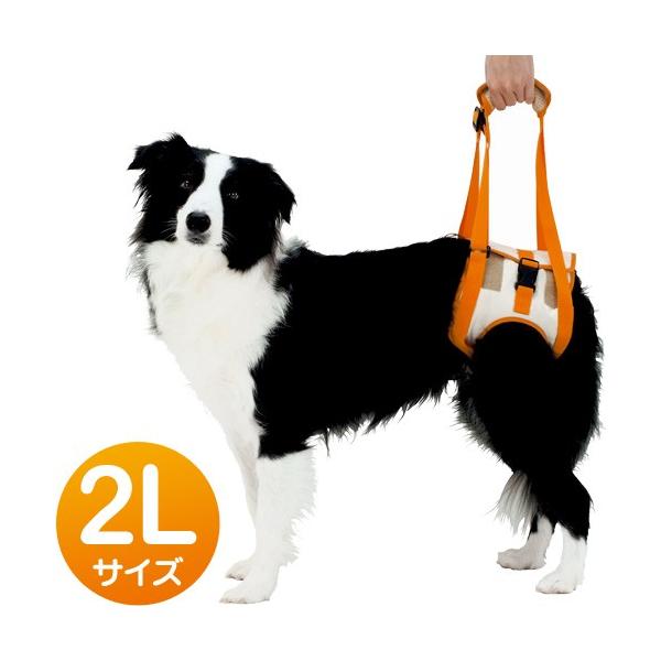 ペティオ 老犬介護用 歩行補助ハーネス 後足用 2l 中 大型犬用 犬用品 犬用ハーネス 胴輪 ペッツビレッジクロスpaypayモール 通販 Paypayモール