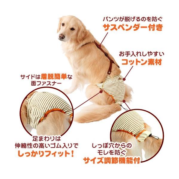 ペティオ 老犬介護用 おむつパンツ サスペンダー付き 3l 大型犬用 Buyee Buyee Japanese Proxy Service Buy From Japan Bot Online