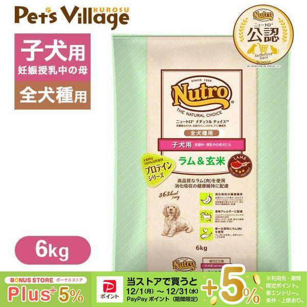 賞味期限：2026年7月31日