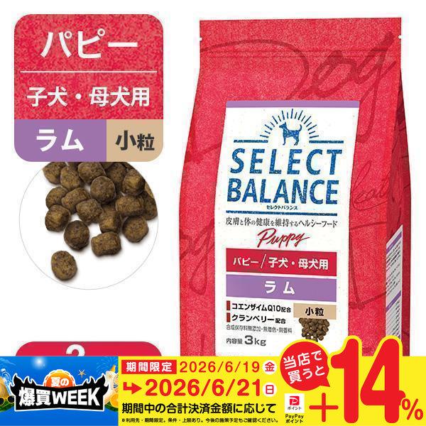 セレクトバランス パピー 子犬用 ラム 小粒 3kg ドッグ ドライ セレクト バランス Select Balance 生後1才令未満 妊娠 授乳期の成犬用 ペッツビレッジクロスpaypayモール 通販 Paypayモール