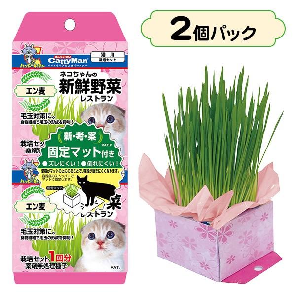 キャティーマン ネコちゃんの新鮮野菜レストラン 2個パック （猫草 
