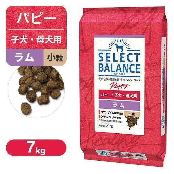SELECT BALANCE セレクトバランス パピー（子犬用） ラム 小粒