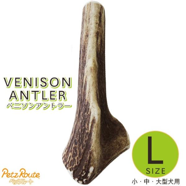 11/25`11/30I|Cg{7 ybc[g xj\Ag[ p L