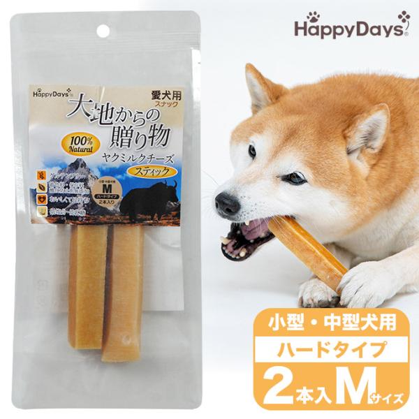 ヒマラヤチーズ Mサイズ 1本セット天然 ペットスナック 犬用 ハード