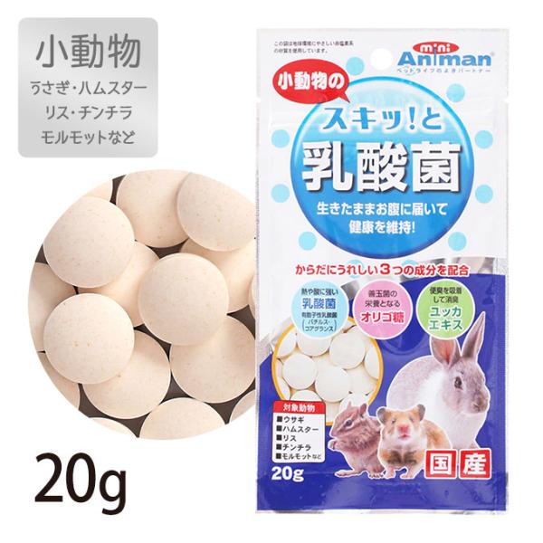 小動物用 おやつ ドライ ドギーマン 小動物の スキッ と 乳酸菌 g スナック うさぎ ハムスター リス チンチラ モルモット Animan ミニアニマン 国産 ペッツビレッジクロスpaypayモール 通販 Paypayモール