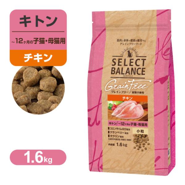 上質 キャットフード セレクトバランス キトン チキン 小粒 ４か月