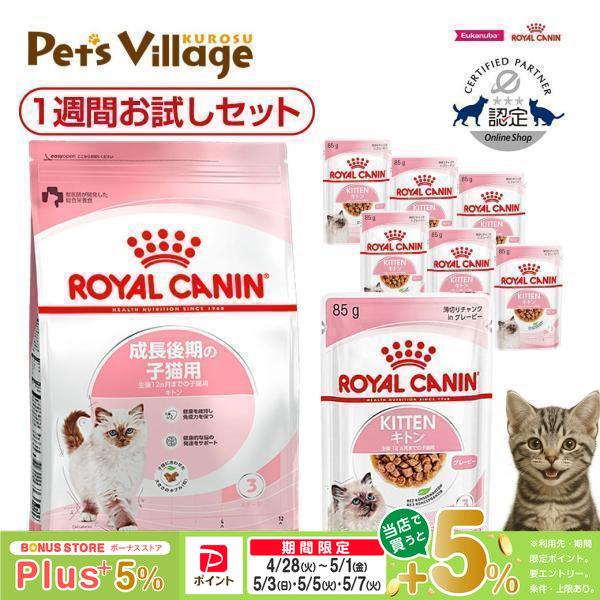 ロイヤルカナン FHN 子猫用 1週間お試しセット ごはん ご飯ROYAL CANIN