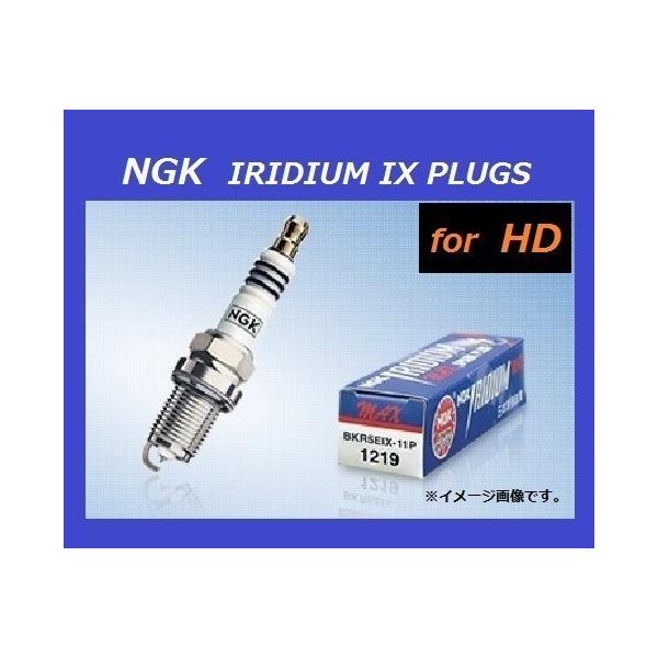 Harley Davidson（ハーレー・ダビッドソン） 送料無料 HD XL1200V