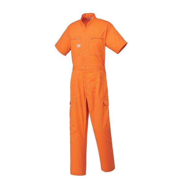 I[goC 1-8201 Ȃ@ ~2LTCY܂ t z ƒ Ȃ@