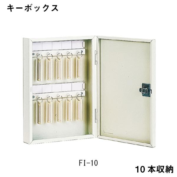 L[{bNX AC{[ ACE@FI-10  ۊ Ə qls̕ԕisi