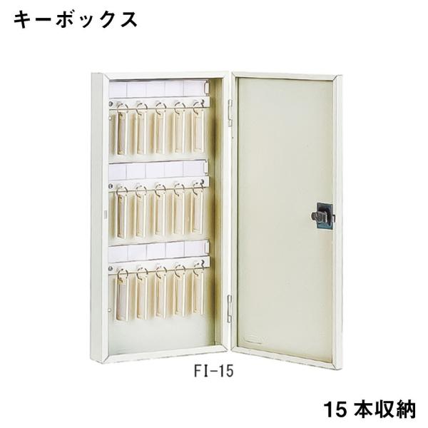 L[{bNX AC{[ ACE@FI-15  ۊ Ə qls̕ԕisi