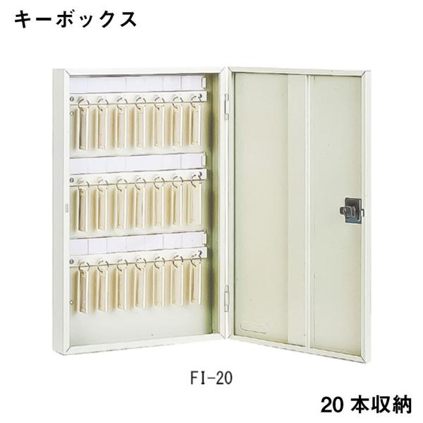 L[{bNX AC{[ ACE@FI-20  ۊ Ə qls̕ԕisi