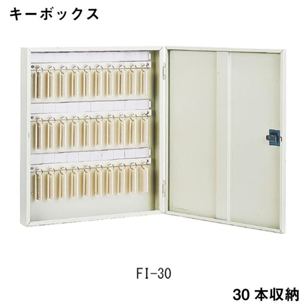 L[{bNX AC{[ ACE@FI-30  ۊ Ə qls̕ԕisi