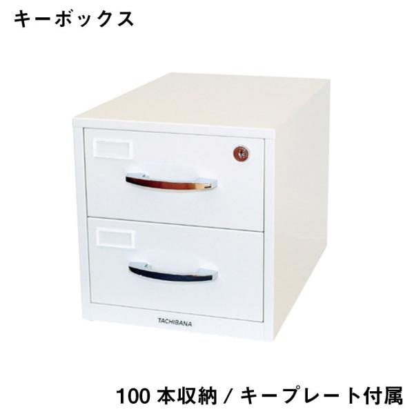 L[{bNX ACE@D-100N  ۊ Ə qls̕ԕisi