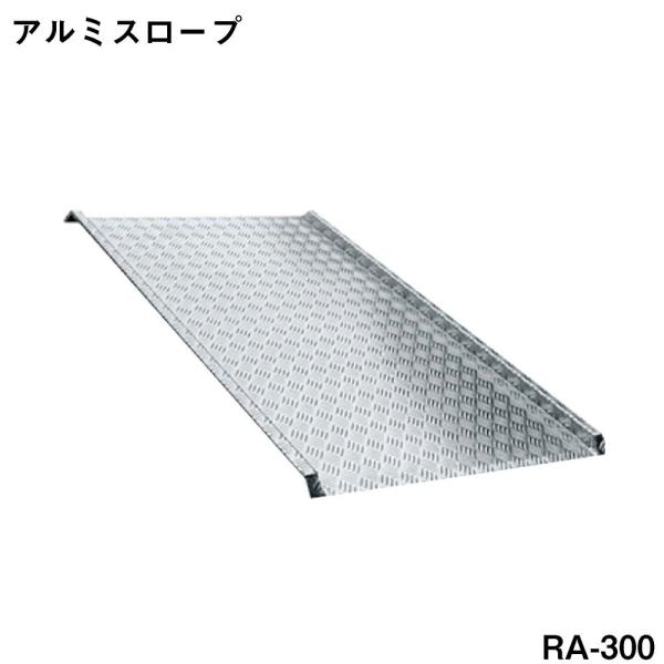 A~X[v @qlsɂԕis RA-300