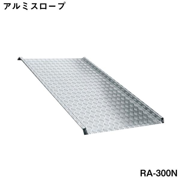 A~X[v @qlsɂԕis RA-300N