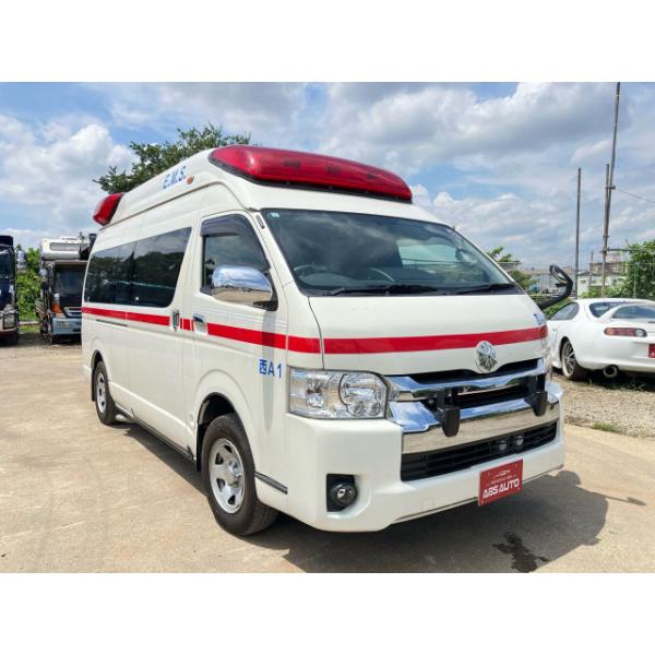 kurumaerabi_29454-27 