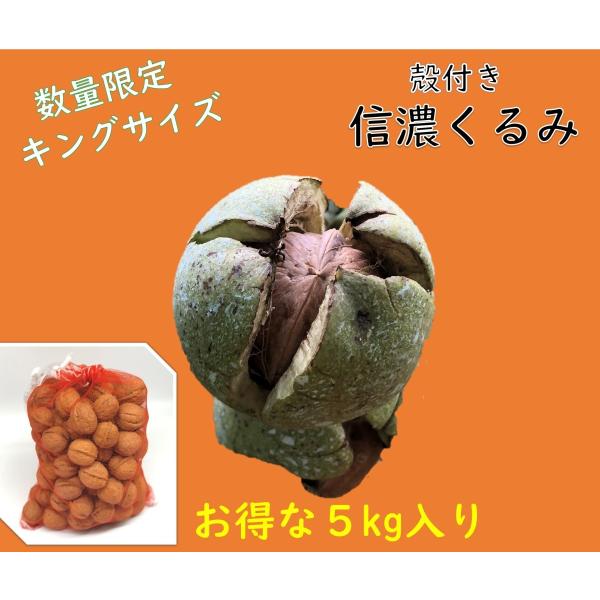 先行予約限定商品 生産者直販 国産 くるみ 殻付きタイプ キングサイズ 5kg 日本産 長野県産 クルミ 生くるみ ナッツ 送料無料 Buyee Buyee Japanese Proxy Service Buy From Japan Bot Online