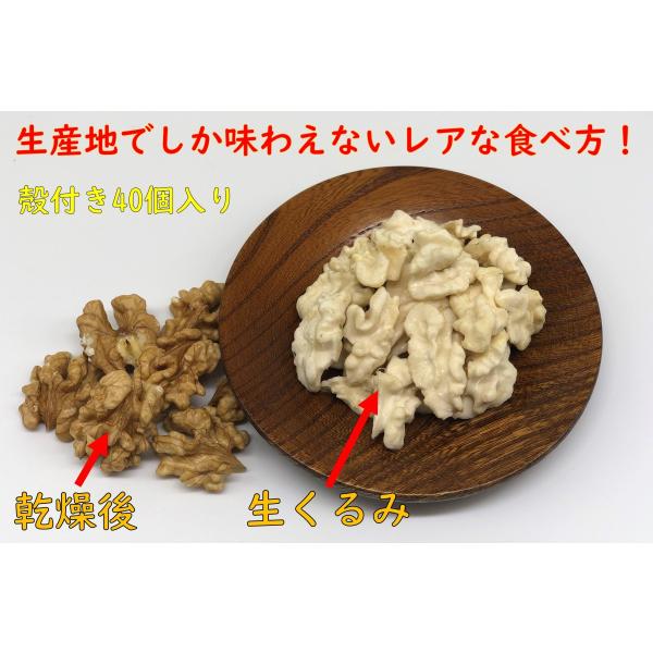 予約商品 乾燥前の生くるみ 殻付きタイプ 40個入り 国産 本くるみ 信濃くるみ 生産者直売 国産 日本産 長野県産 くるみ 送料無料 Nama 40 ハッピーナッツ倶楽部 通販 Yahoo ショッピング