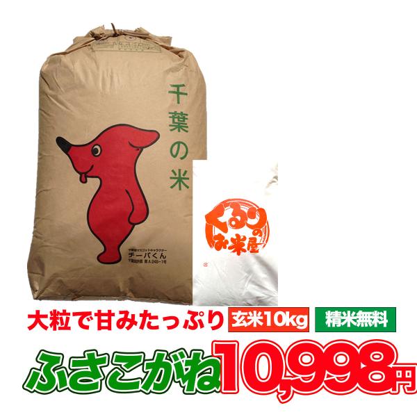 ふさこがね 10kg 令和6年産 米 お米 玄米食でも安心の選別済 ふさこがね 10kg 令和6年産 米 お米 玄米食でも安心の選別済