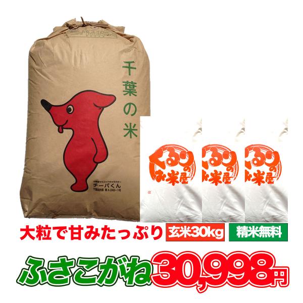 参議院 新米！令和5年産 千葉県産 マンゲツモチ 玄米30キロ - 食品