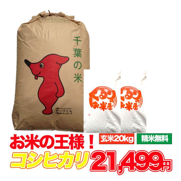 コシヒカリ 20kg 令和6年産 米 お米 玄米食でも安心の選別済 コシヒカリ 20kg 令和6年産 米 お米 玄米食でも安心の選別済