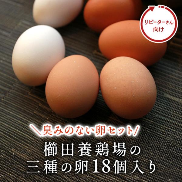 注文が入ってからうまれたての卵をパック詰めし新鮮な状態のままお客様に素早くお届けします。※北海道・沖縄の方は別途800円送料頂きます。ご了承ください。※チルド便希望の方は別途225円頂きます。※ご注文確認後、訂正のご請求金額をメールでご連絡...