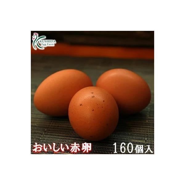 ☆櫛田養鶏場のこだわり☆櫛田養鶏場では【選別された飼料】に【マグロのアラを大量に粉砕し一日煮込んだ物】、5〜10種類ほどの【野菜を粉砕したもの】を混ぜ合わせたこだわりの独自の配合飼料を与えています！また独自の自家配合飼料を食べている弊社の鶏...