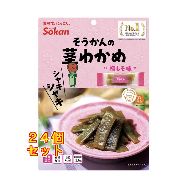 シャキシャキ茎わかめ梅しそ味 70g×24個