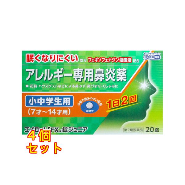 【第2類医薬品】エメロット「ＦＸ」錠ジュニア　20錠×4個