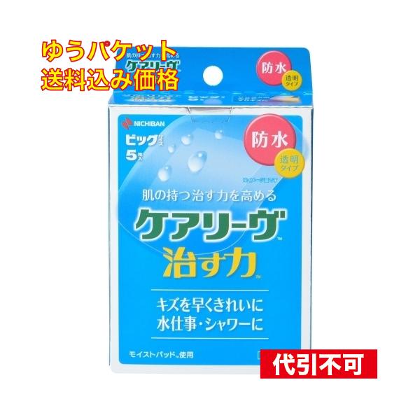 他サイト： ゆうパケット）ケアリーヴ 治す力 防水タイプ BIG 5枚入の商品画像