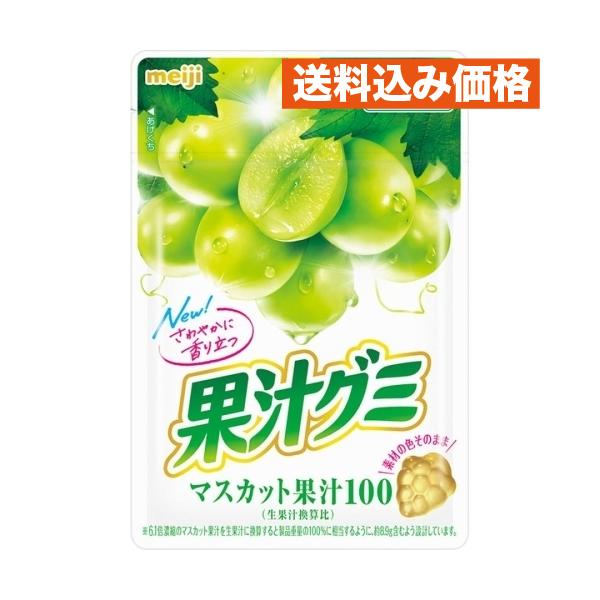 明治 果汁グミマスカット 54g×10個