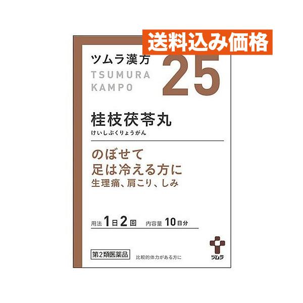 【第2類医薬品】ツムラ　ツムラ漢方　桂枝茯苓丸料エキス顆粒A　10日分(20包)