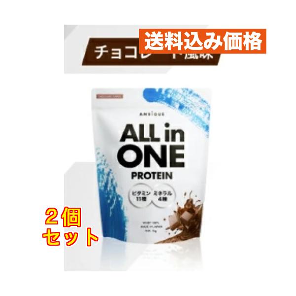 オールインワンプロテイン　チョコ風味　１ｋｇ×2個
