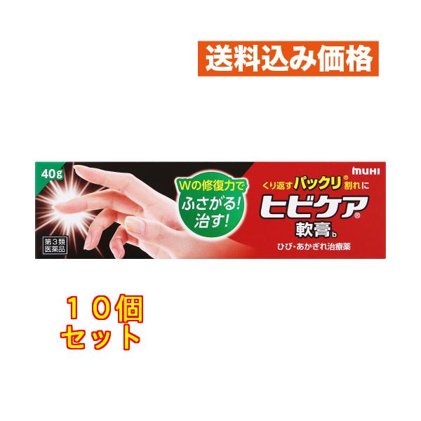 ヒビケア軟膏b ４０ｇ 池田模範堂 【第3類医薬品】×10個