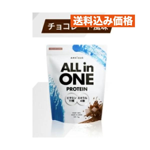 オールインワンプロテイン　チョコ風味　１ｋｇ