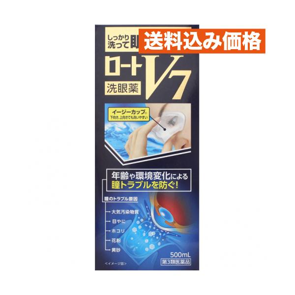 ロート製薬株式会社