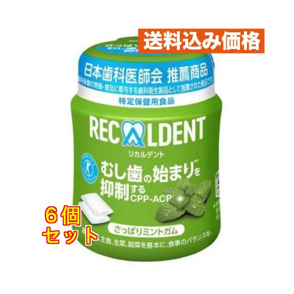リカルデント さっぱりミントガム ボトル×6個