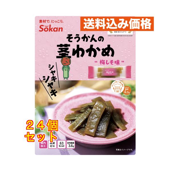 シャキシャキ茎わかめ梅しそ味 70g×24個