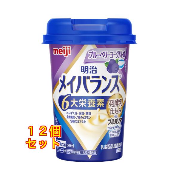 メイバランスMini ブルーベリーヨーグルト 125mL×12個