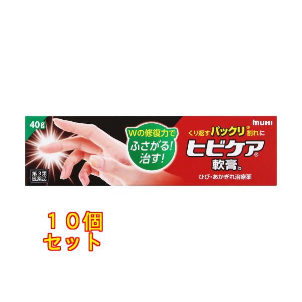 ヒビケア軟膏b ４０ｇ 池田模範堂 【第3類医薬品】×10個