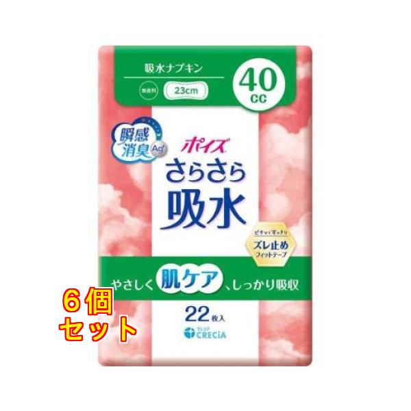 ポイズ さらさら素肌 吸水ナプキン 40cc 無香料 22枚入り×6個