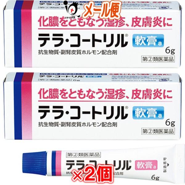 【指定第2類医薬品】テラコートリル 軟膏a 6g×2個セット【ジョンソン・エンド・ジョンソン】化膿をともなう湿疹、皮膚炎に