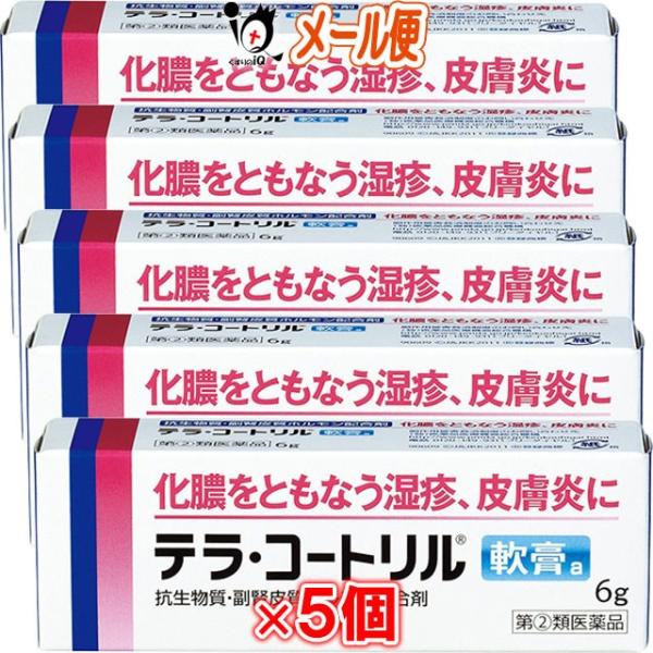 【指定第2類医薬品】テラコートリル 軟膏a 6g×5個セット【ジョンソン・エンド・ジョンソン】化膿をともなう湿疹、皮膚炎に