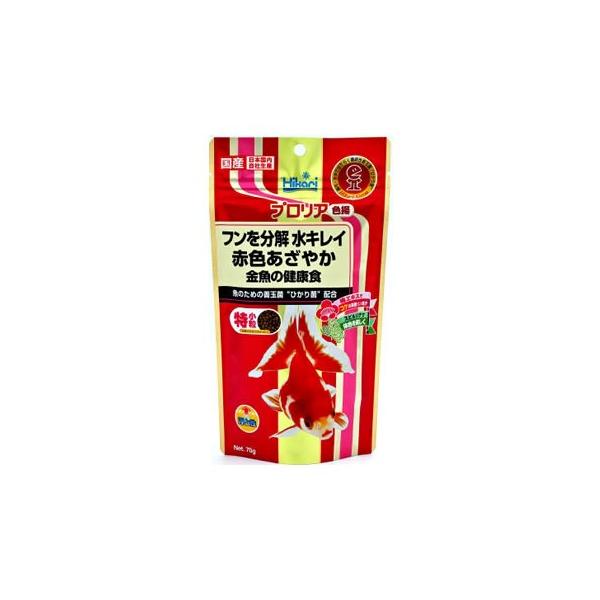 L[@Ђ@vA@Fg@(70g)@@GT