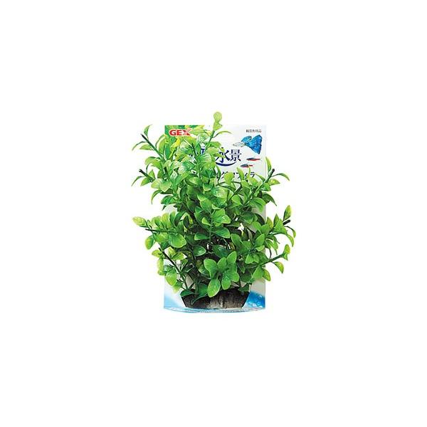 WFbNX@i@ՂnCOtB@(1)@@@ANZT[@Ϗ܋pi