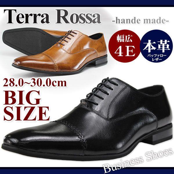 大きいサイズ Terra Rossa 14253 メンズ ビジネスシューズ : 靴の