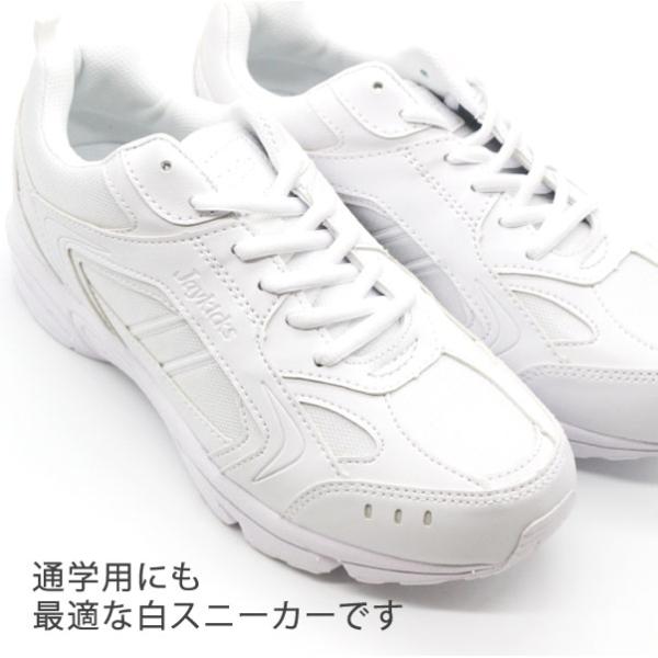 kutsu-nishimura_xst214_1_d_20250210092224